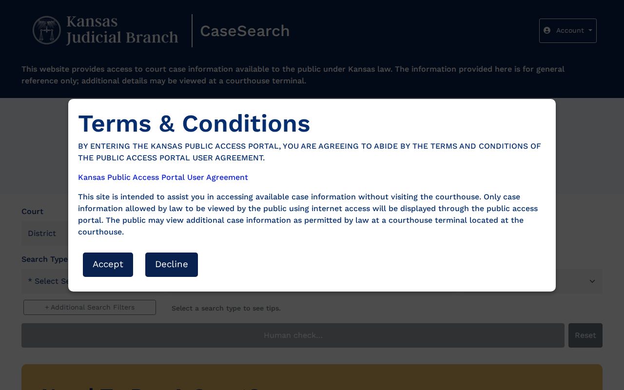 Thomas County court records public portal search interface